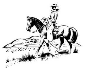 Hollywood Cowboy On Horse (Image)